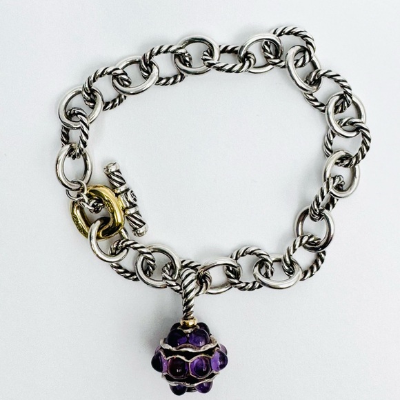 David Yurman Oval Link Charm Bracelet With Amethyst And Gold - Picture 8 of 8